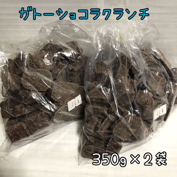 ガトーショコラクランチ 700g アウトレット チョコレート お菓子 工場直売