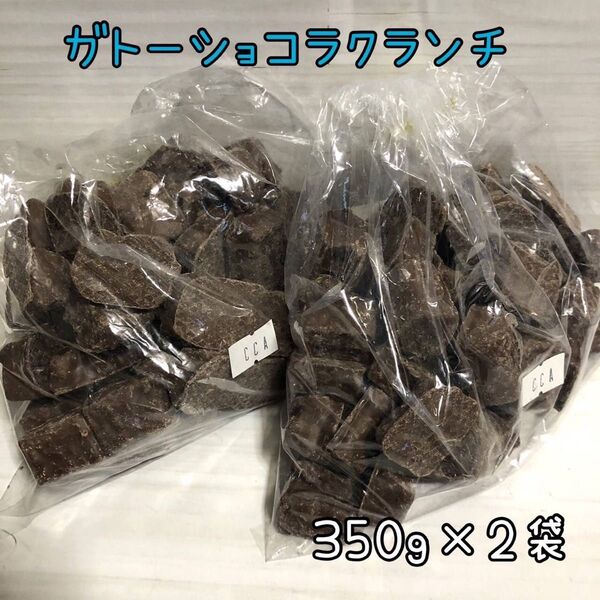 ガトーショコラクランチ 700g アウトレット チョコレート お菓子 工場直売