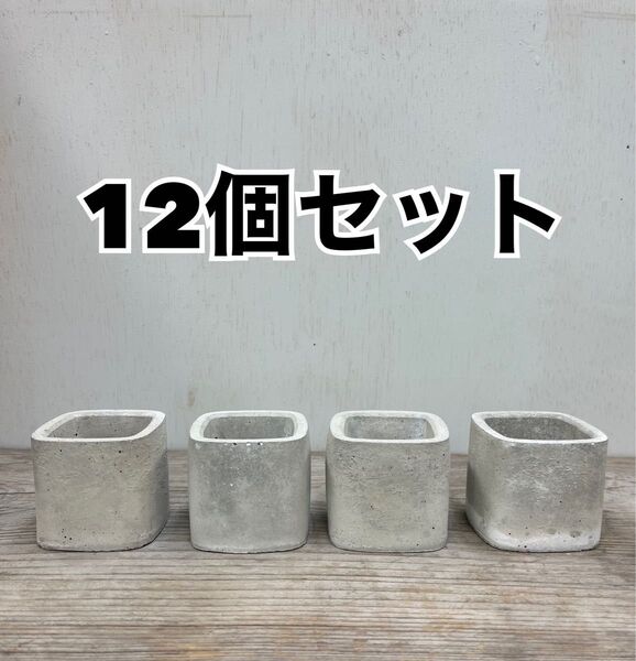 オシャレ セメント植木鉢12個セット 多肉植木鉢