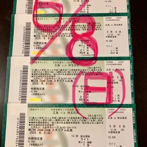 広島カープvs西武ライオンズ 6/8 〜セ・パ交流戦〜