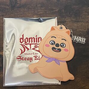 straykids ストレイキッズ skzoo ミニうちわキーホルダー ハン ハンクオッカ てるてる坊主