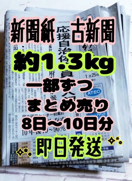 即日発送 新聞紙 古新聞 約1.3キロ 一部ずつまとめ売り