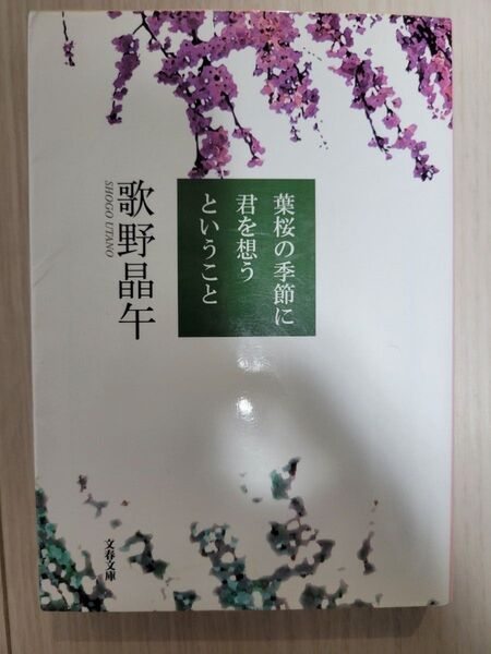 葉桜の季節に君を想うということ