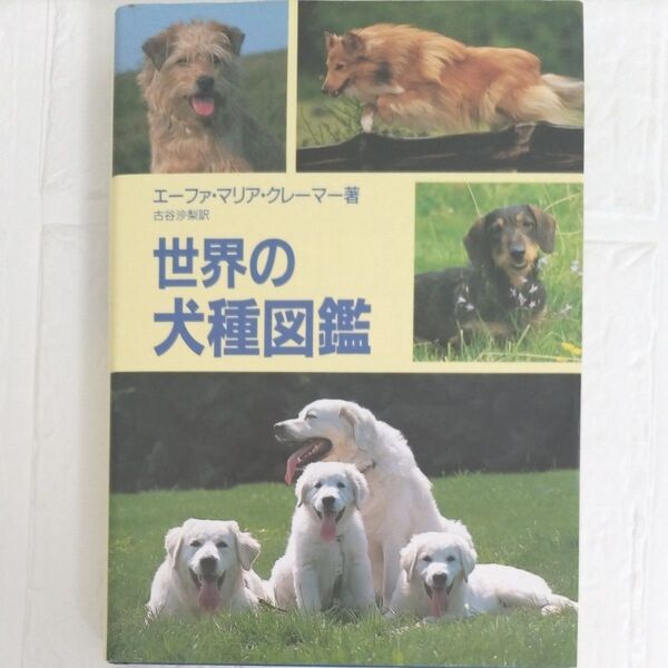 世界の犬種図鑑 エーファ・マリア・クレーマー/著 古谷沙梨/訳