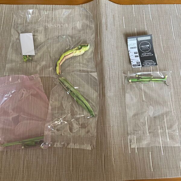ショウリョウバッタ いきもの大図鑑 アドバンス