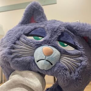 ユニバのキャップ!