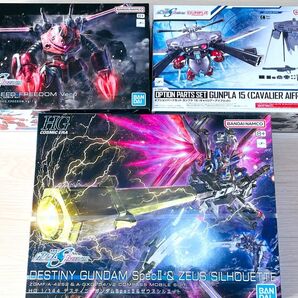 未組立 HG 1/144 ズゴック SEED キャバリアーアイフリッド デスティニーガンダムSpecII&ゼウスシルエット