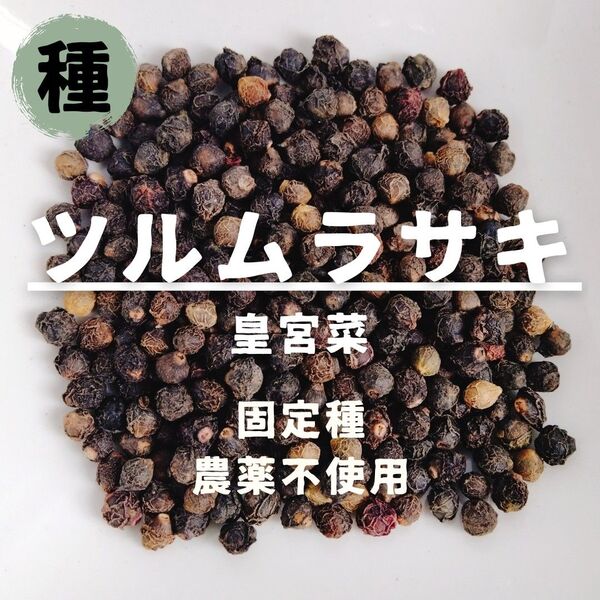 【種】ツルムラサキ 皇宮菜 農薬不使用 70粒