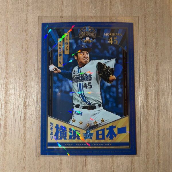 横浜DeNAベイスターズ MY BAYSTARS リアル化
