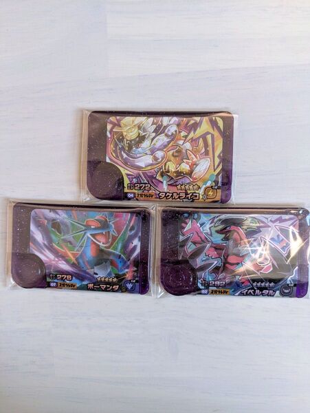 ポケモンフレンダ スーパートレジャー タケルライコ ボーマンダ イベルタル