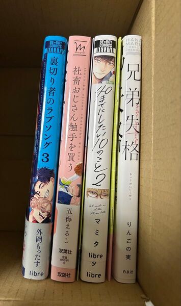 バラ可★兄弟失格 40までにしたい10のこと 2 裏切り者のラブソング 3 社畜おじさん触手を買う 小冊子 リーフレット ペーパー