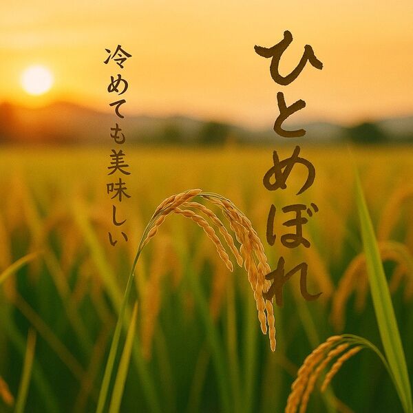 401.みやぎ米【精白米1.8kg】令和6年宮城県産ひとめぼれ