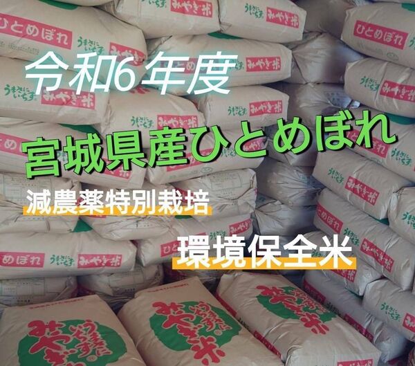 398.みやぎ米【精白米1.8kg】令和6年宮城県産ひとめぼれ