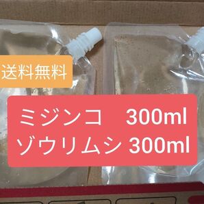 オオミジンコ+ゾウリムシ