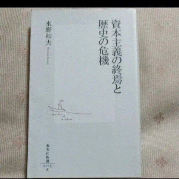 資本主義の終焉と歴史の危機 (集英社新書