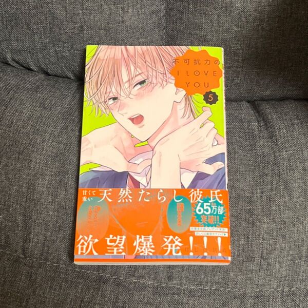不可抗力の i love you ふからぶ 5巻 帯付き 漫画
