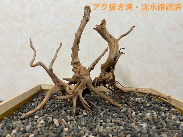 RR-313流木 ブランチウッド アクアリウム 沈水確認済