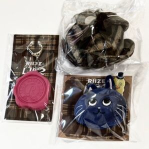 RIIZE 日本 ペンミ ファンミ ボイスキーホルダー キャップポーチキーリング ぬいぐるみバッジ ウォンビン