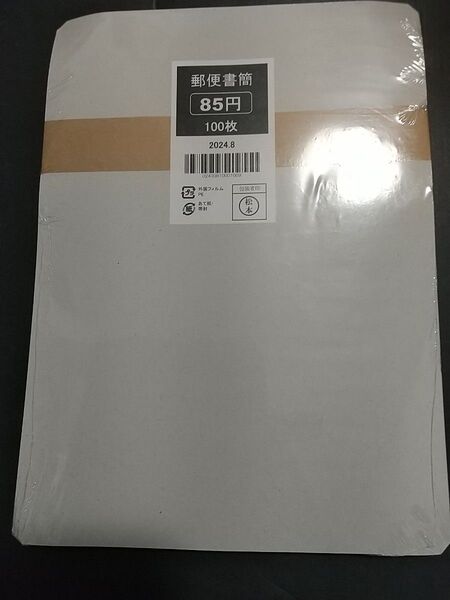 ミニレター郵便書簡100枚