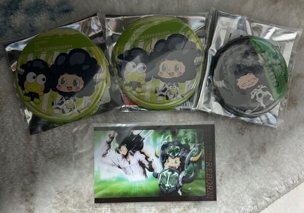 家庭教師ヒットマンREBORN! ランボ カラ鉄 缶バッジ サンリオ キーホルダー ステータスカード アニカフェ チェキ