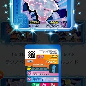 ポケモン フレンダ 「ブリムオン」5弾 1-5-019