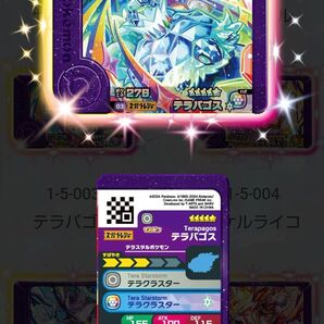 ポケモン フレンダ 「テラパゴス」5弾 1-5-003