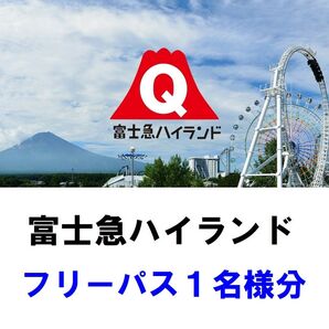 富士急ハイランド フリーパス1枚分(1名様分)※有効期限2025年5月31日まで