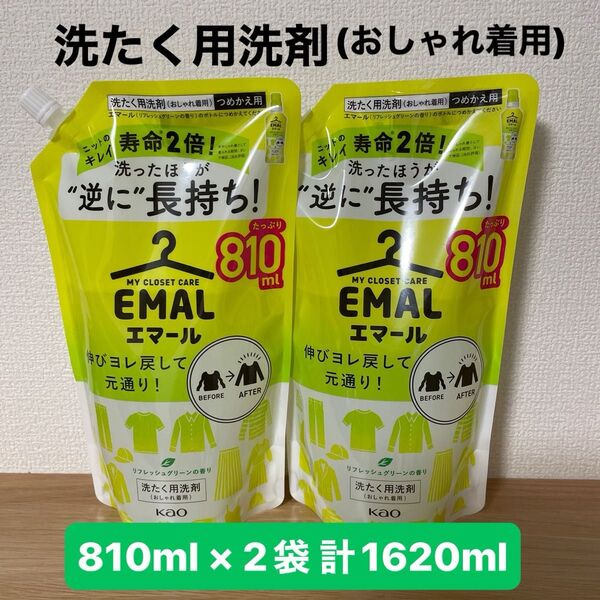 エマール EMAL リフレッシュグリーン 洗たく洗剤 ホームクリーニング用洗剤 特大サイズ 810ml × 2袋 & ヘアゴム