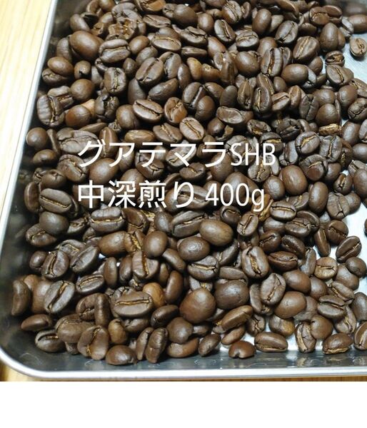 グアテマラSHB 中深煎り400g