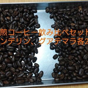 深煎りコーヒー飲み比べセット(マンデリン、グアテマラ各200g)