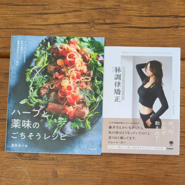 ハーブと薬味のごちそうレシピ スープからおつまみまで簡単で美味しい健康になれるメニュー65品 若井めぐみ/著