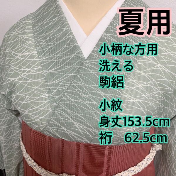 496◆小柄な方用◆夏用 洗える 駒絽小紋 芝草模様