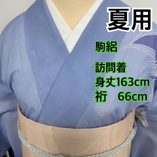 492◆着物ライフ満喫◆夏用 洗える 駒絽訪問着 竹模様