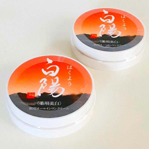 【新品・未開封】新大和漢方 白陽 朝用オールインワンクリーム 40g×2個
