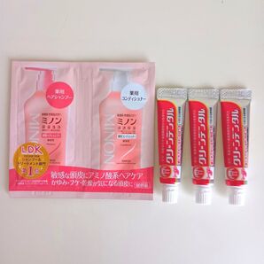 【新品・未開封】第一三共ヘルスケア リゲイントリプルフォースの付属品 ミノン シャンプー・トリートメント、クリーンデンタル