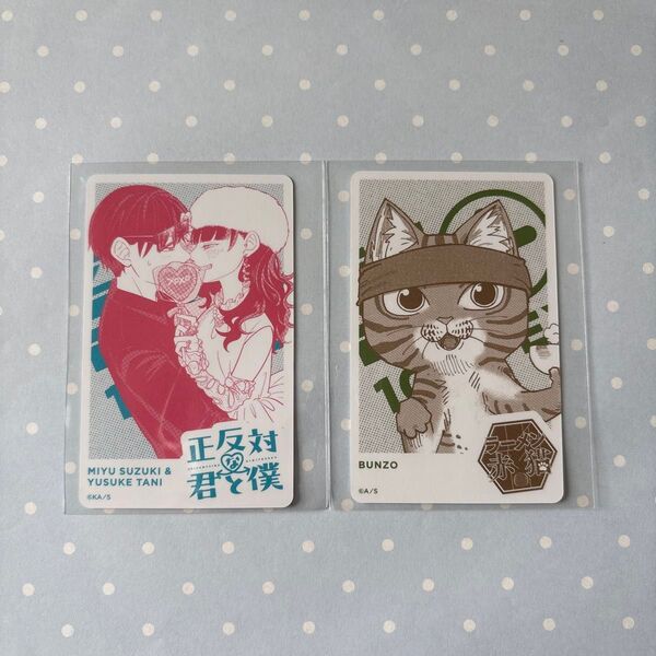 少年ジャンプ+ トレーディングカード ジャンプ+展 グッズ カード ジャンプラ展 トレカ ラーメン赤猫 正反対な君と僕 鈴木 谷