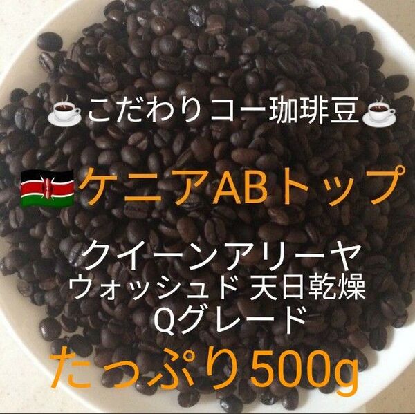 こだわり珈琲豆 ケニアABトップ クイーンアリーヤ たっぷり500g 自家焙煎珈琲 中深煎り Qグレード ウォッシュド 天日乾燥