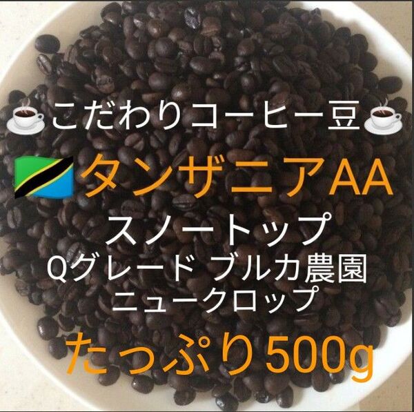 こだわり珈琲豆 タンザニアAA スノートップ たっぷり500g 中深煎り 自家焙煎珈琲 Qグレード ブルカ農園