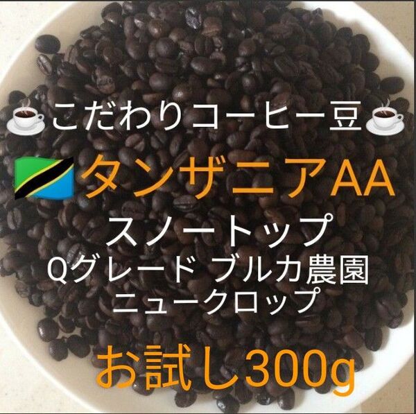こだわり珈琲豆 タンザニアAA スノートップ お試し300g 中深煎り 自家焙煎珈琲 Qグレード ブルカ農園