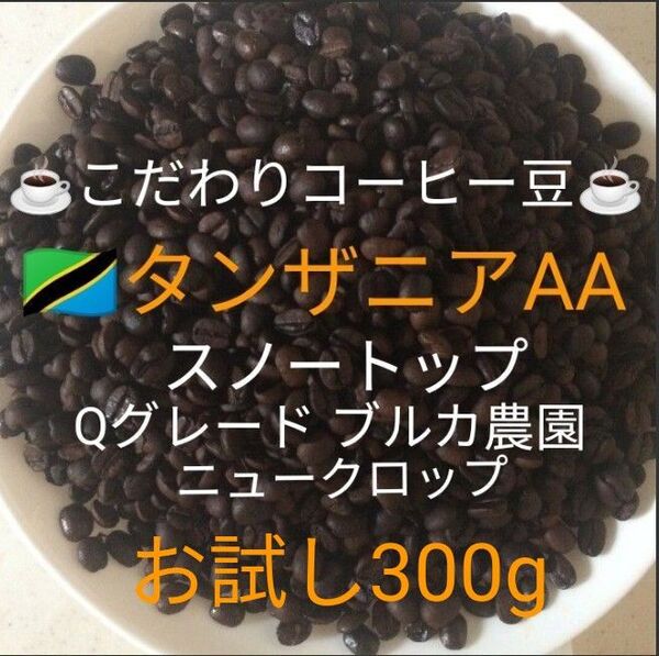 こだわり珈琲豆 タンザニアAA スノートップ お試し300g 中深煎り 自家焙煎珈琲 Qグレード ブルカ農園