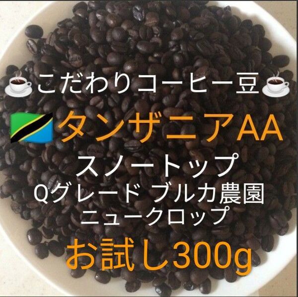 こだわり珈琲豆 タンザニアAA スノートップ お試し300g 中深煎り 自家焙煎珈琲 Qグレード ブルカ農園
