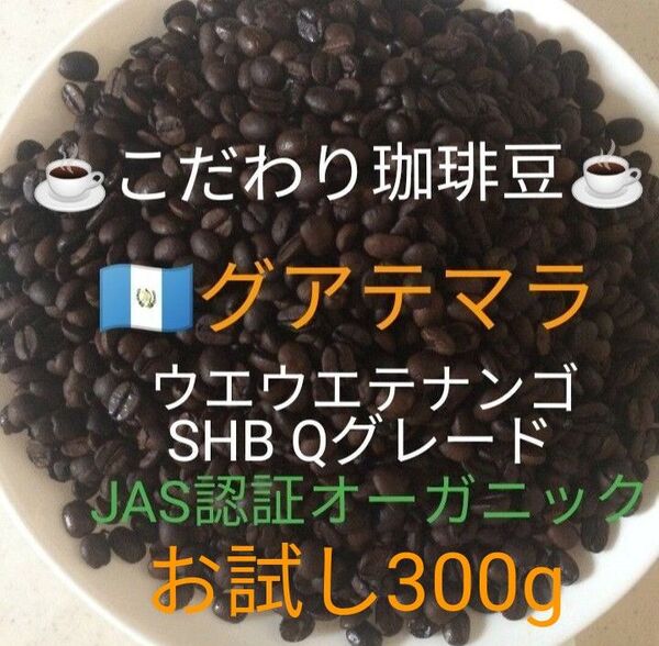 こだわり珈琲豆 グアテマラ ウエウエテナンゴ お試し300g SHB 中深煎り 自家焙煎 プレミアムQグレード ウォッシュド