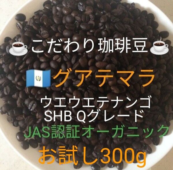 こだわり珈琲豆 グアテマラ ウエウエテナンゴ お試し300g SHB 中深煎り 自家焙煎 プレミアムQグレード ウォッシュド
