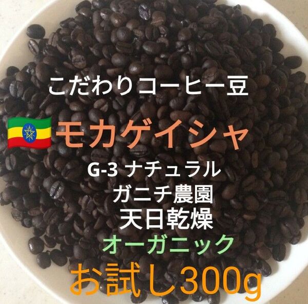 こだわり珈琲豆 モカゲイシャ G-3 お試し300g 中深煎り 自家焙煎 オーガニック 有機栽培 ナチュラル 天日乾燥