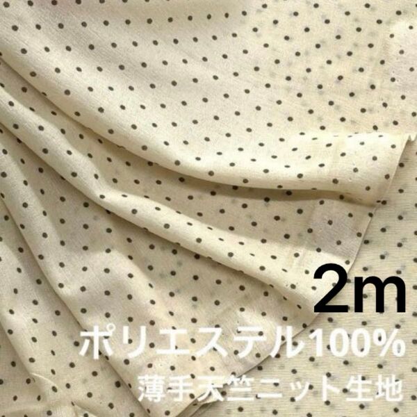 新品未使用 2m ポリエステル100% 薄手 天竺ニット生地 水玉模様 程良いシースルー感 透け感 ドット ベージュ×ブラウン