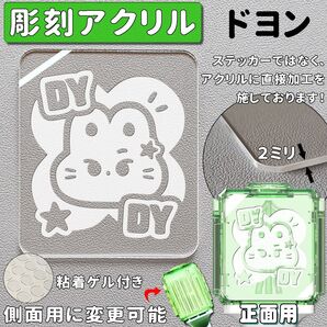 ドヨン DY NCT 127 ペンライト アクリル 彫刻 dream