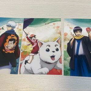 銀魂 万事屋 ポストカード 3枚セット