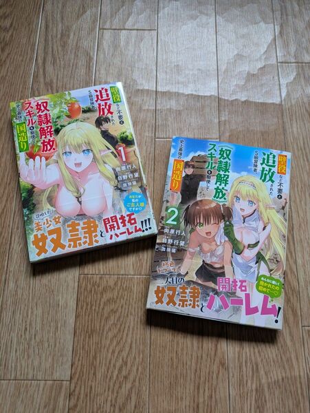 壁役など不要と追放されたS級冒険者、《奴隷解放》スキルを駆使して史上最強の国造り 1~2巻 日野行望/漫画 向原行人/原作