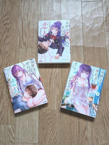 幼馴染で婚約者なふたりが恋人をめざす話 1~3巻 (HJ文庫 ひ03-04-03) 緋月 薙 著