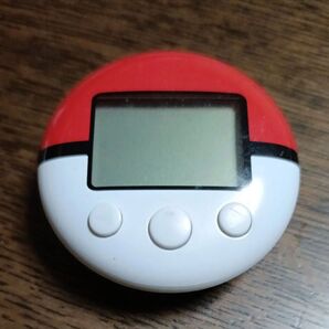 ポケモンハートゴールド、ソウルシルバー ポケウォーカー